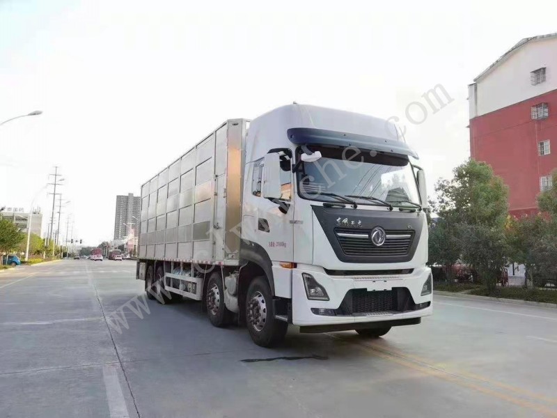 东风天龙前四后八畜禽运输车（运猪车） 